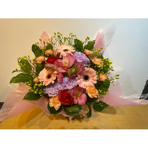 �s���N�̃K�[�x���ƃg���R�L�L���E���o�b�`���̃A�����W�����g4