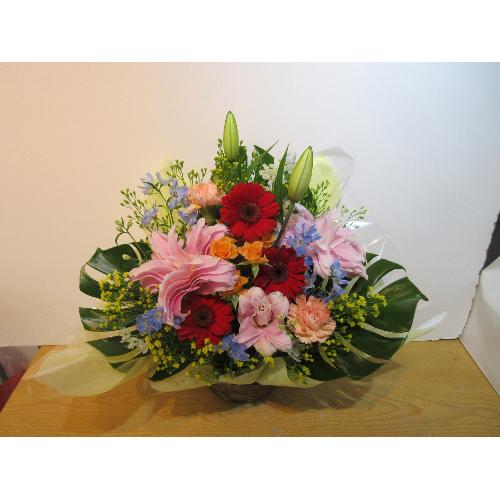 ���d�̂��ƐԂ̃K�[�x�����ƂĂ��L���C�ȃA�����W�����g3