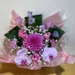 可愛い胡蝶蘭と可愛いピンクの幸せのアレンジメント