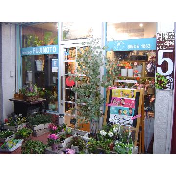 大阪府八尾市の花屋 フラワーショップふじもと をご紹介 フラワーギフトはプロのお花屋さんにおまかせ フジテレビフラワーネット