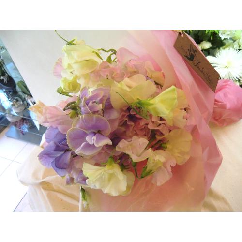 �`�X�C�[�g�s�[�̍���`