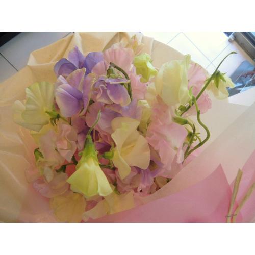 �`�X�C�[�g�s�[�̍���`2