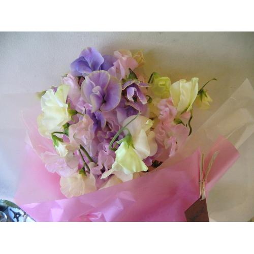 �`�X�C�[�g�s�[�̍���`3