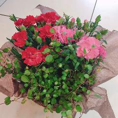 �ץ�ƥ��������͡�������