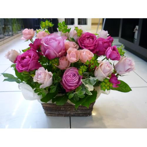 �����}���e�B�b�N���[�Y��2