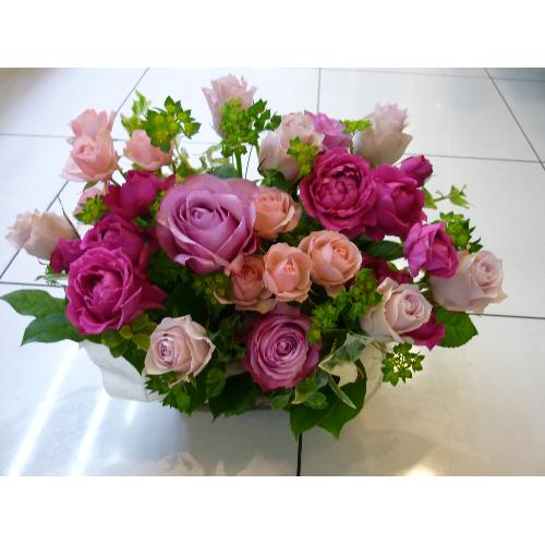 �����}���e�B�b�N���[�Y��4