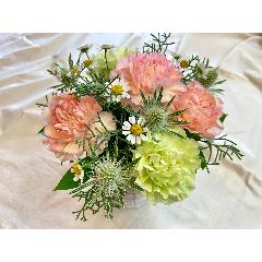 `Thankyou`orangeEgreen