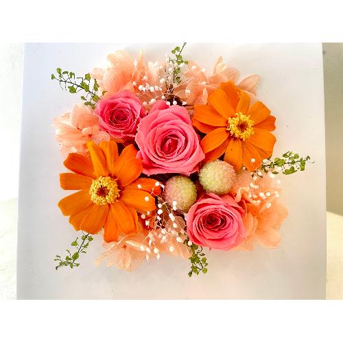 yThankyouz`cute orange2