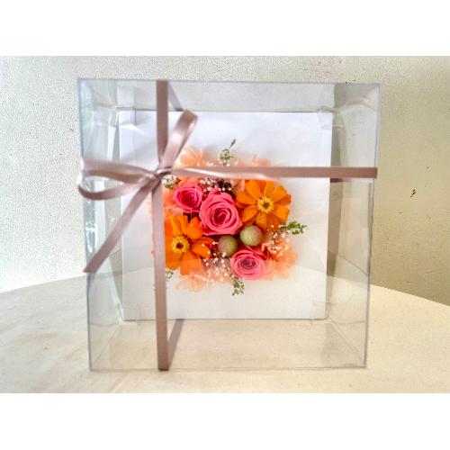 yThankyouz`cute orange3