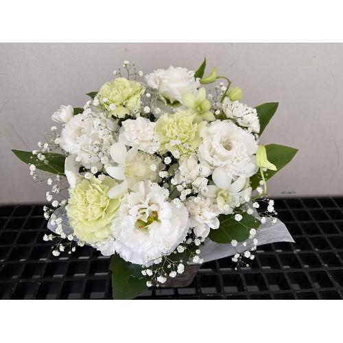 �Âԑz���B�B�B