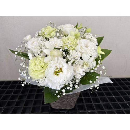 �Âԑz���B�B�B2