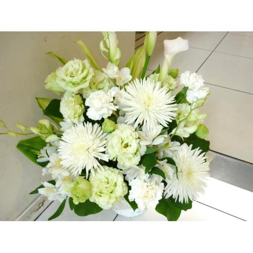 �u�������ԁv�`�V���v�����_���`2