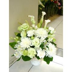 �u�������ԁv�`�V���v�����_���`