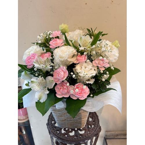 �������ԁw�z���C�g�E�s���N