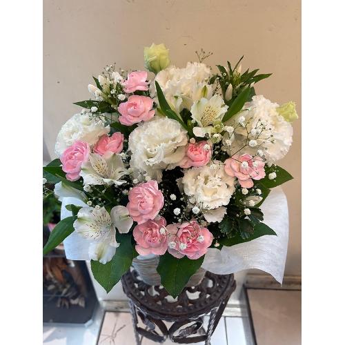 �������ԁw�z���C�g�E�s���N2