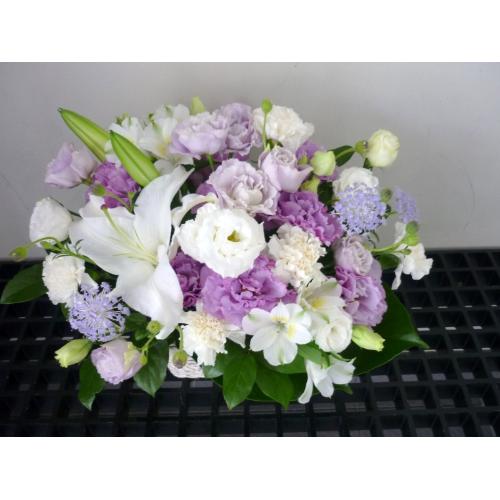 �����ԁ`�G���K���g�`2