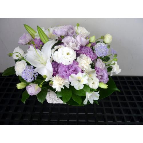 �����ԁ`�G���K���g�`3