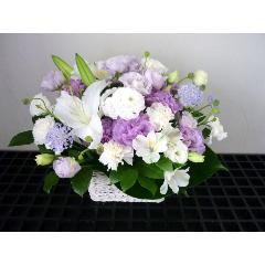 �����ԁ`�G���K���g�`