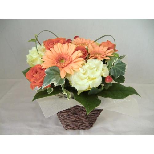 Flower Power!!���C�A�����W�����g2