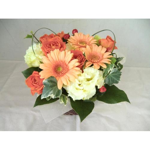 Flower Power!!���C�A�����W�����g3