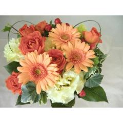 Flower Power!!���C�A�����W�����g