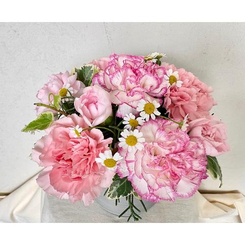 �y��̓�����z�`Thankyou�`PINK2