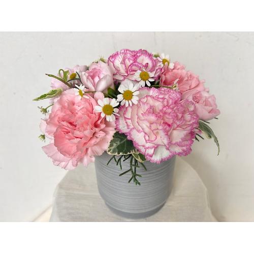 �y��̓�����z�`Thankyou�`PINK3