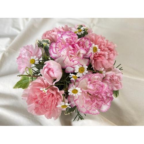�y��̓�����z�`Thankyou�`PINK4