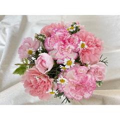 �y��̓�����z�`Thankyou�`PINK