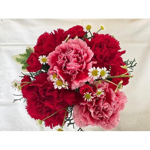 �y��̓�����z�`Thankyou�`RED