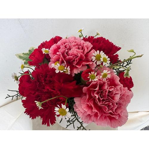 �y��̓�����z�`Thankyou�`RED2