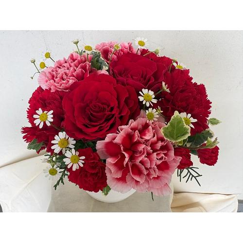 Thankyou�E���b�h���[�Y