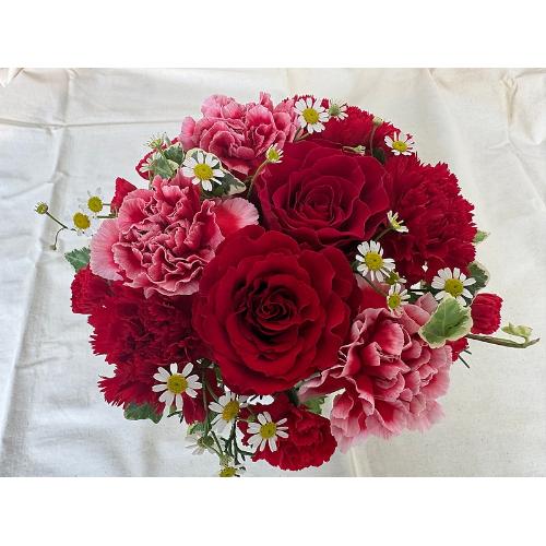 Thankyou�E���b�h���[�Y2