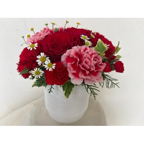 Thankyou�E���b�h���[�Y3