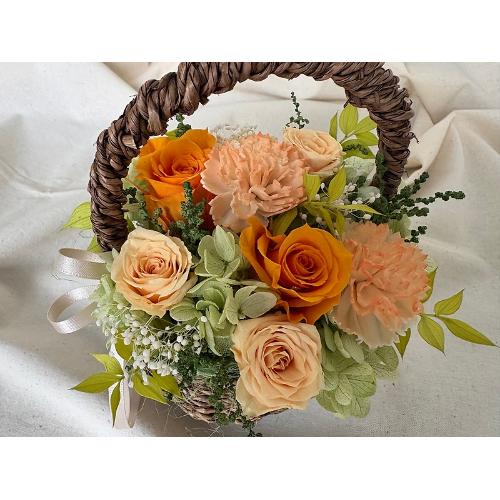 �yThankyou�z�`natural orange�`4