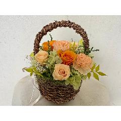 �yThankyou�z�`natural orange�`