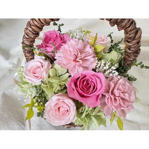 �yThankyou�z�`natural pink�`4