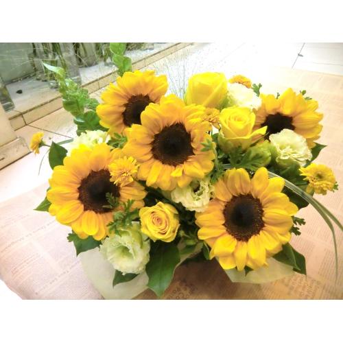 ��SUMMER�@GREEN��