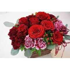 Thank you!!mama