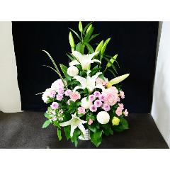 �ڤ������֡ۡݣȣϣӣȣɡݥԥ�