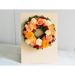 ڥХåܡդۥӥӥåɥ󥸥꡼֡