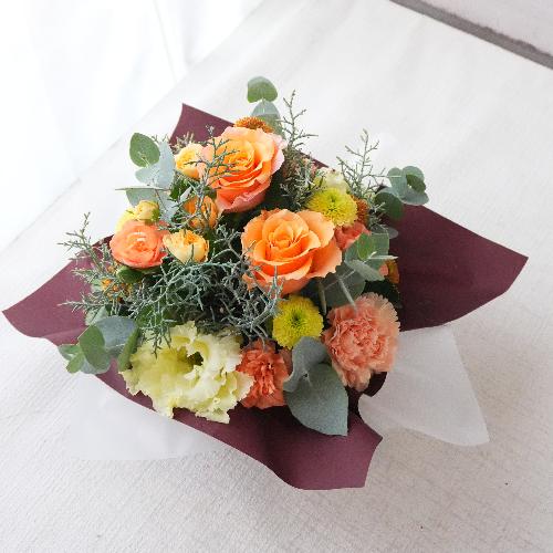 bsOAW@FIWnVr[^Cv