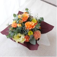bsOAW@FIWnVr[^Cv