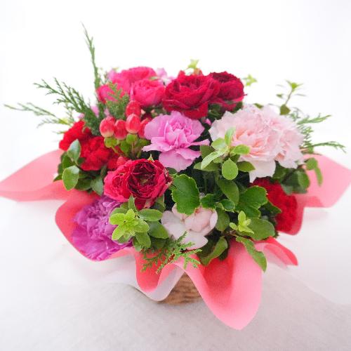bsOAW@ԃsNni`^Cv2