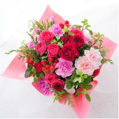 bsOAW@ԃsNni`^Cv