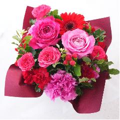 bsOAW@ԃsNnrrbh^Cv