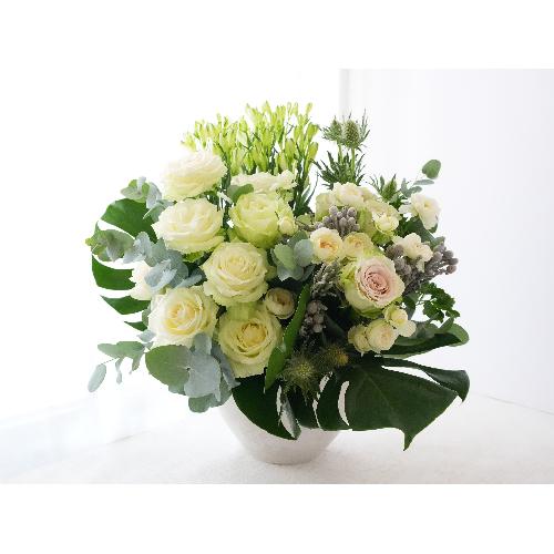 �C���e���A�̂悤�Ȃ��ԁ@�y�t���[�����f�R01�z
