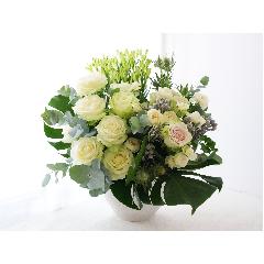 �C���e���A�̂悤�Ȃ��ԁ@�y�t���[�����f�R01�z