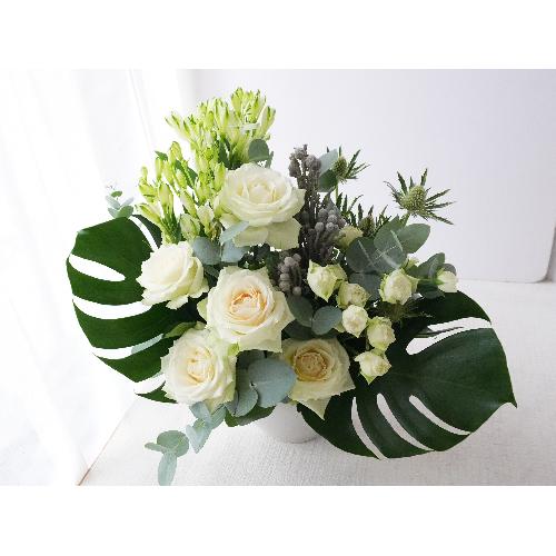 �C���e���A�̂悤�Ȃ��ԁ@�y�t���[�����f�R02�z2