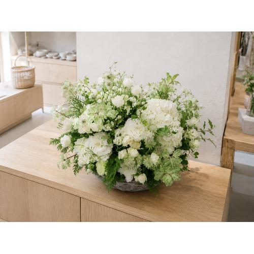 �C���e���A�̂悤�Ȃ��ԁ@�yLagom Bloom�z